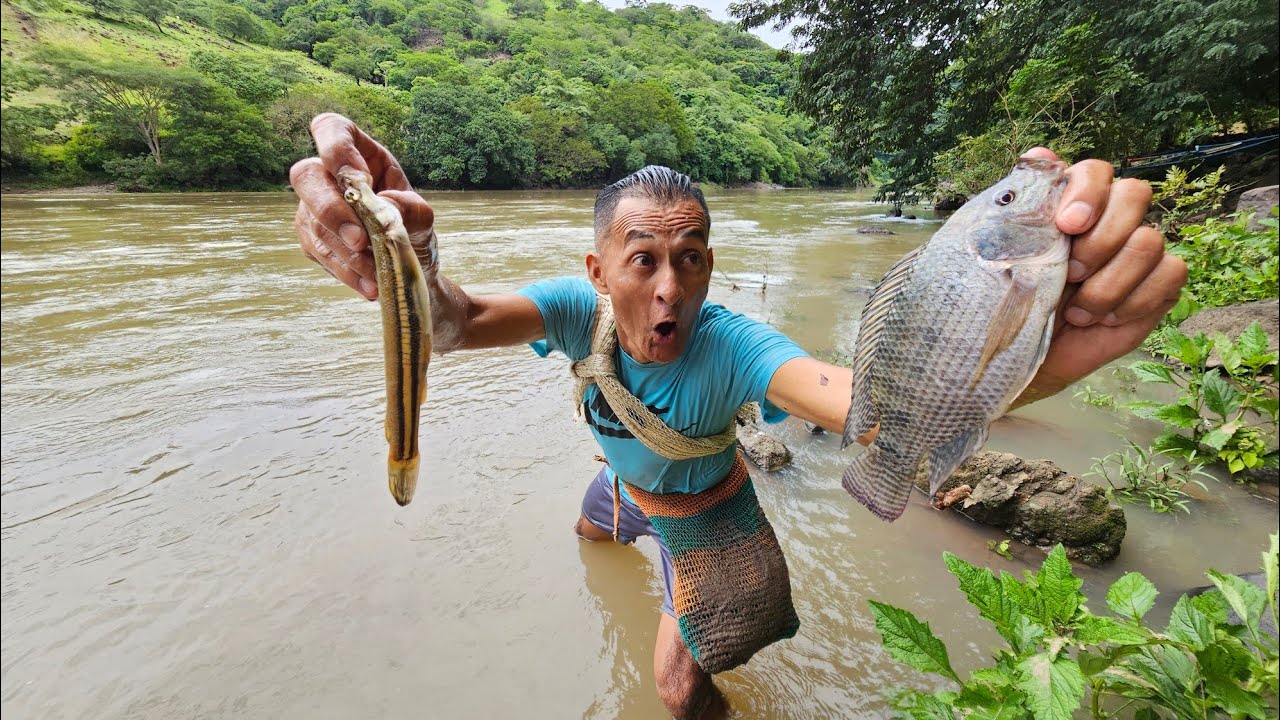 Don jose pesca cuatro ojos tilapia y cangrejos