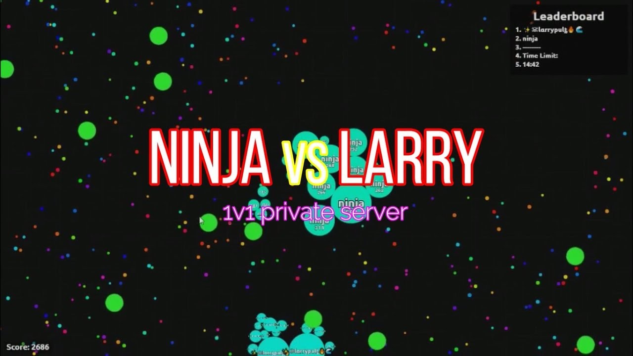 Agar.io - 1v1 vs larrypult