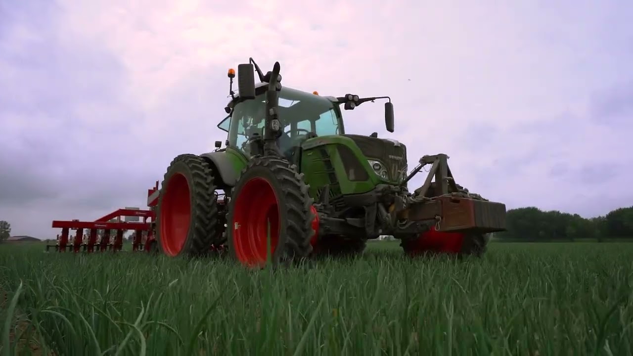 Schoffelen in uien met Lemken/ Steketee.