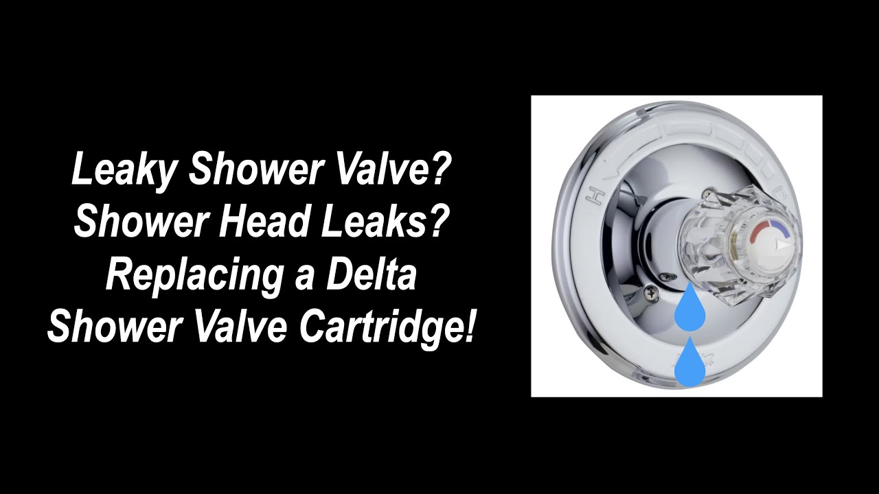 How to Replace a Delta Shower Valve Cartridge (RP19804)