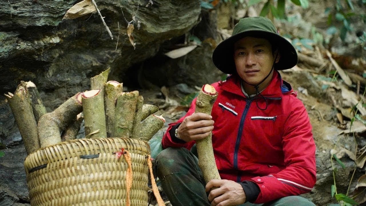 A determined CEO ventures into the 1000m mountains to discover rare and powerful medicinal herbs