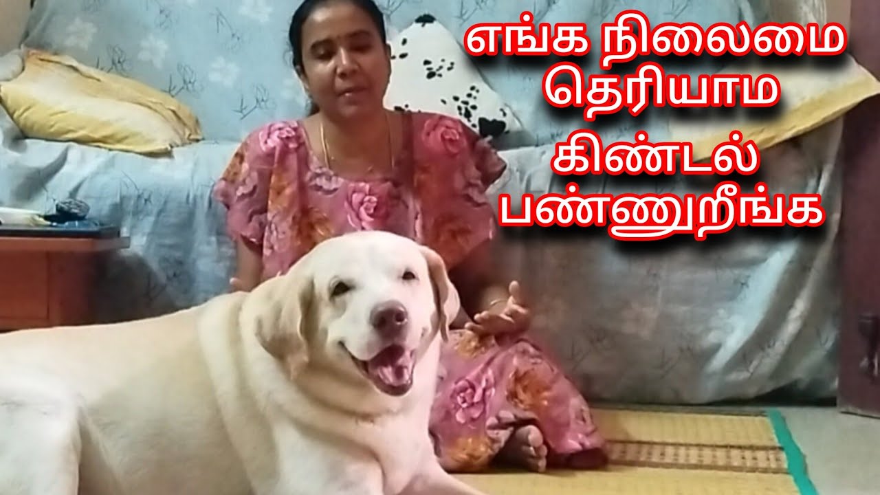 🔥எப்படி இருந்த gakahar இப்ப இப்படி ஆகிட்டான்💥 