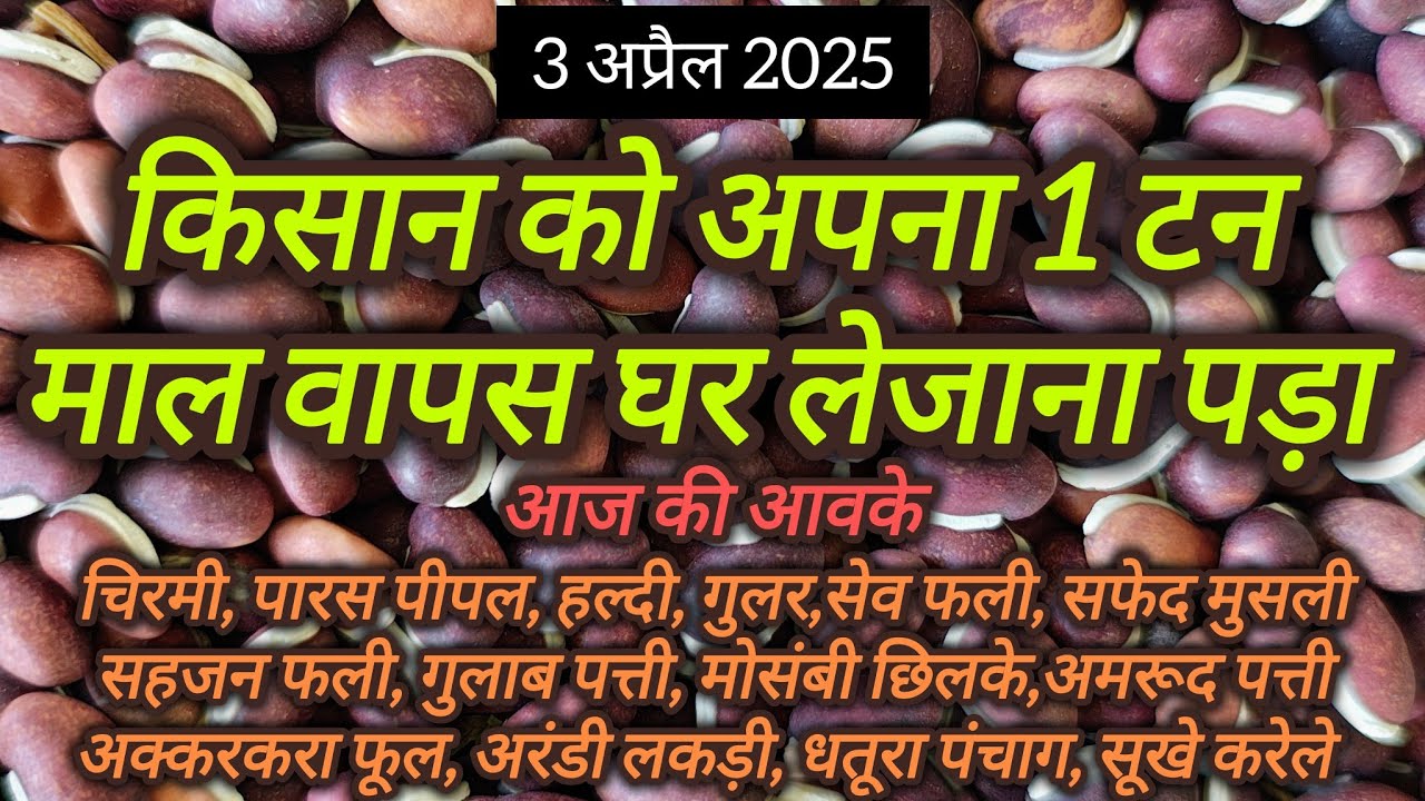 किसान को 1 टन माल वापस अपने घर लेकर जाना पड़ा एक गलती के कारण 😓😥 ।। नीमच मंडी भाव ।। Neemuch Mandi