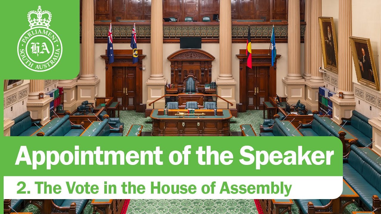 2. The Vote in the House of Assembly