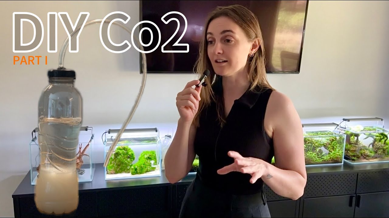 DIY Co2 System