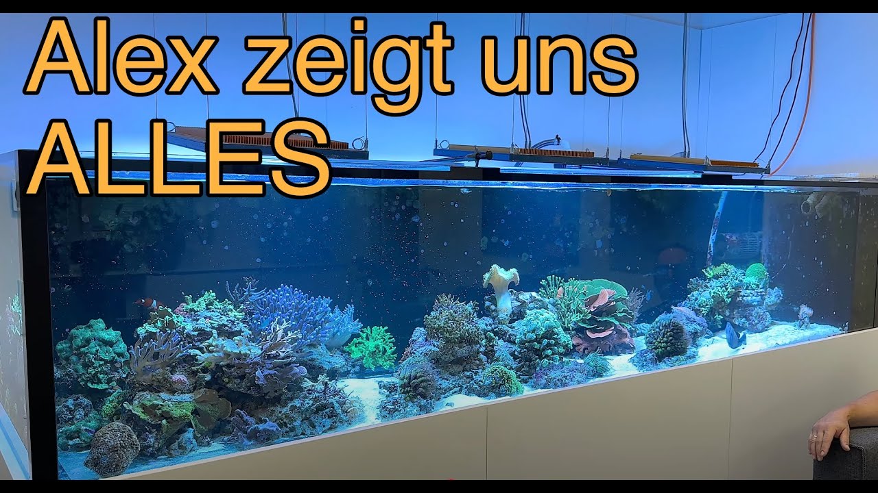 Das 1.800 Liter MEERWASSER Aquarium von Alex |Tour Wilhelmshaven