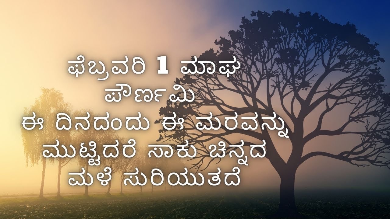 ಫೆಬ್ರವರಿ 1 ಮಾಘ ಪೌರ್ಣಮಿ ಈ ದಿನದಂದು ಈ ಮರವನ್ನು ಮುಟ್ಟಿದರೆ ಸಾಕು ಚಿನ್ನದ ಮಳೆ ಸುರಿಯುತದೆ