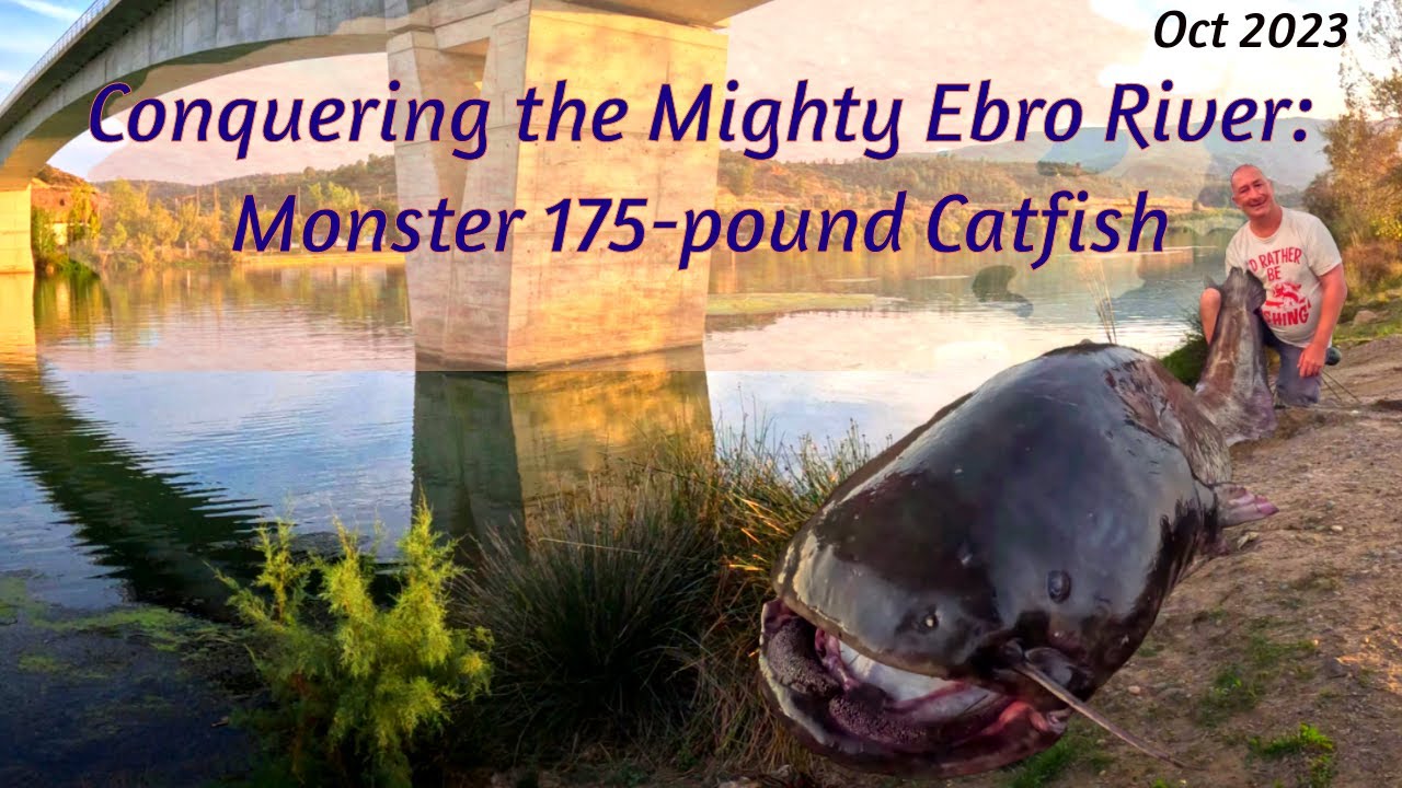 Unforgettable Fishing Experience: Tackling the Beast -  175-Pound Catfish on the Ebro