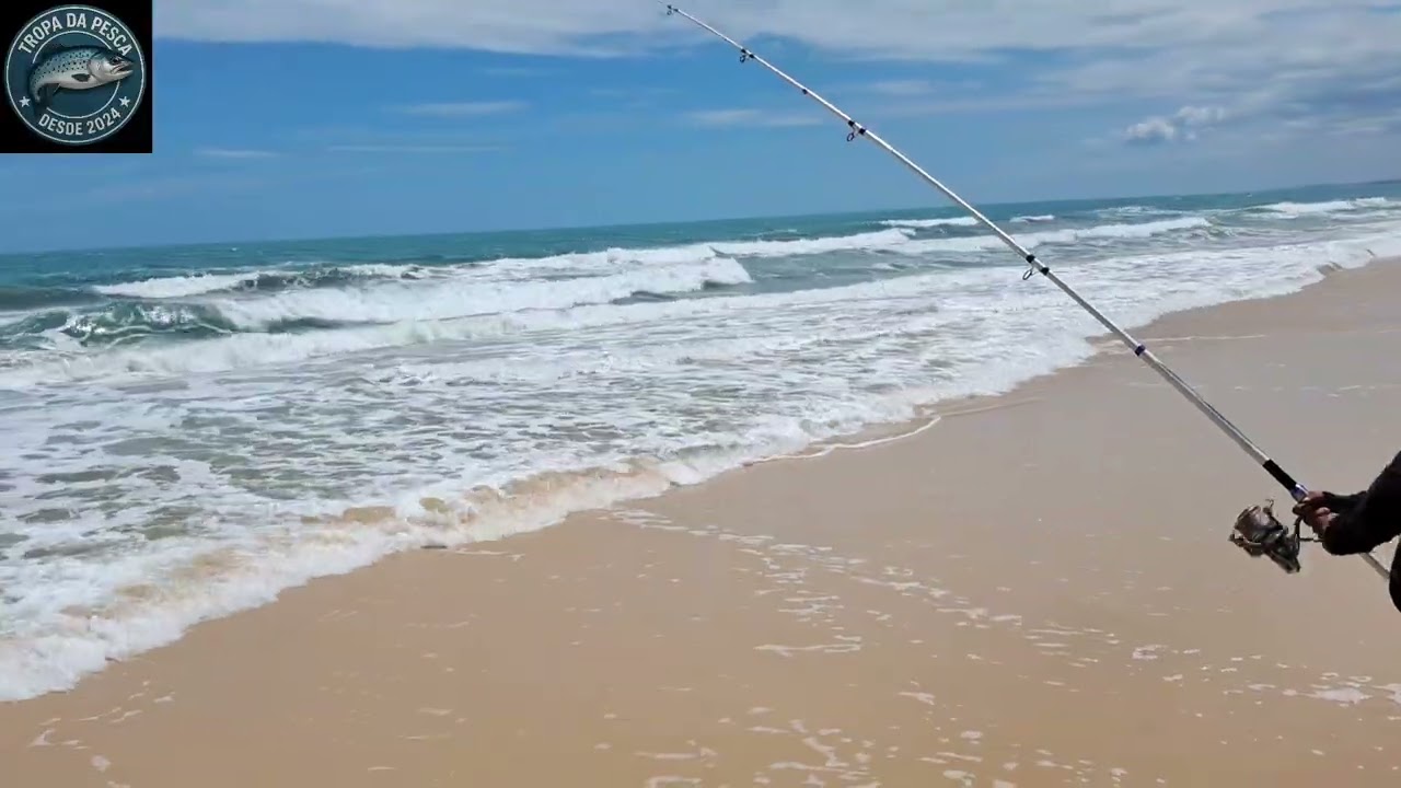 Esse peixe salvou a pescaria!