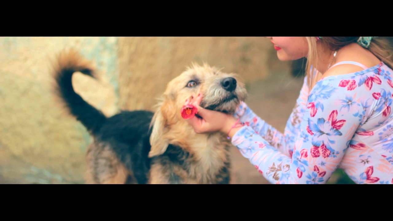 Makyrian UND - QUIERES  ( Video Oficial ) #GanJAHParadise