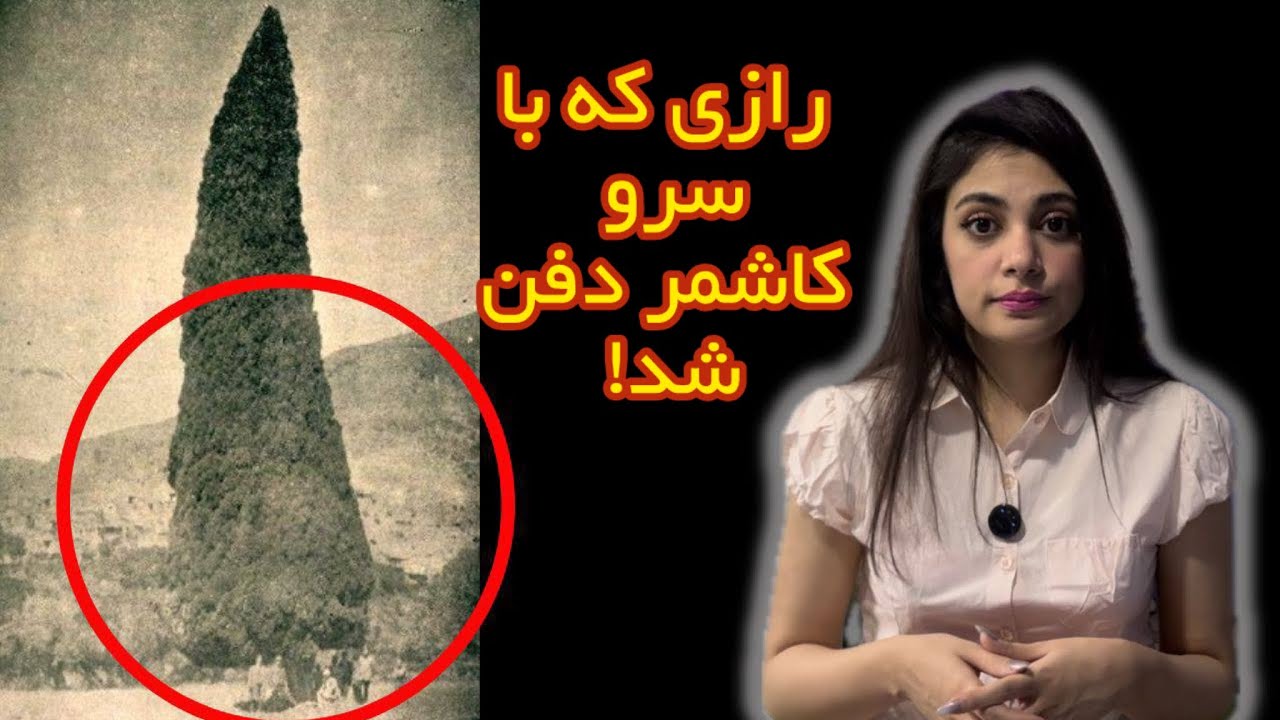 منشأ درخت کریسمس یا درخت نفرین شده در کاشمر!؟