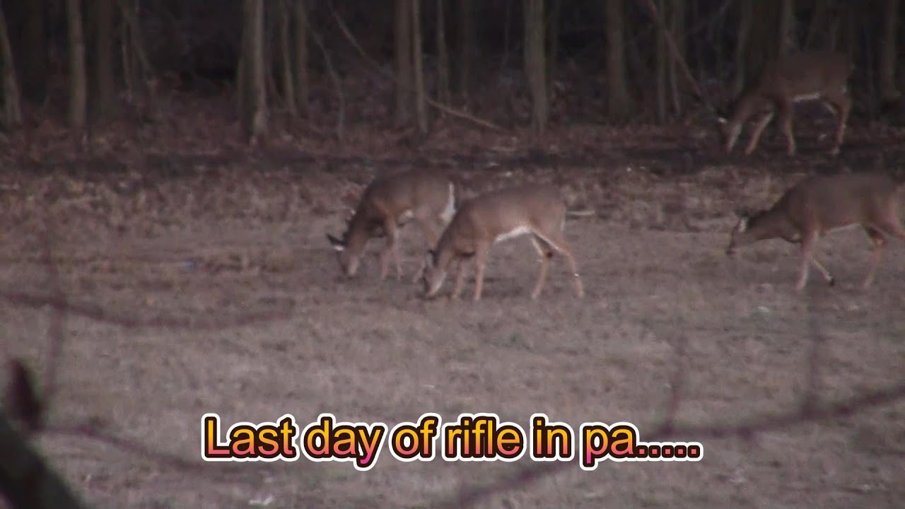 Last day of rifle in pa....