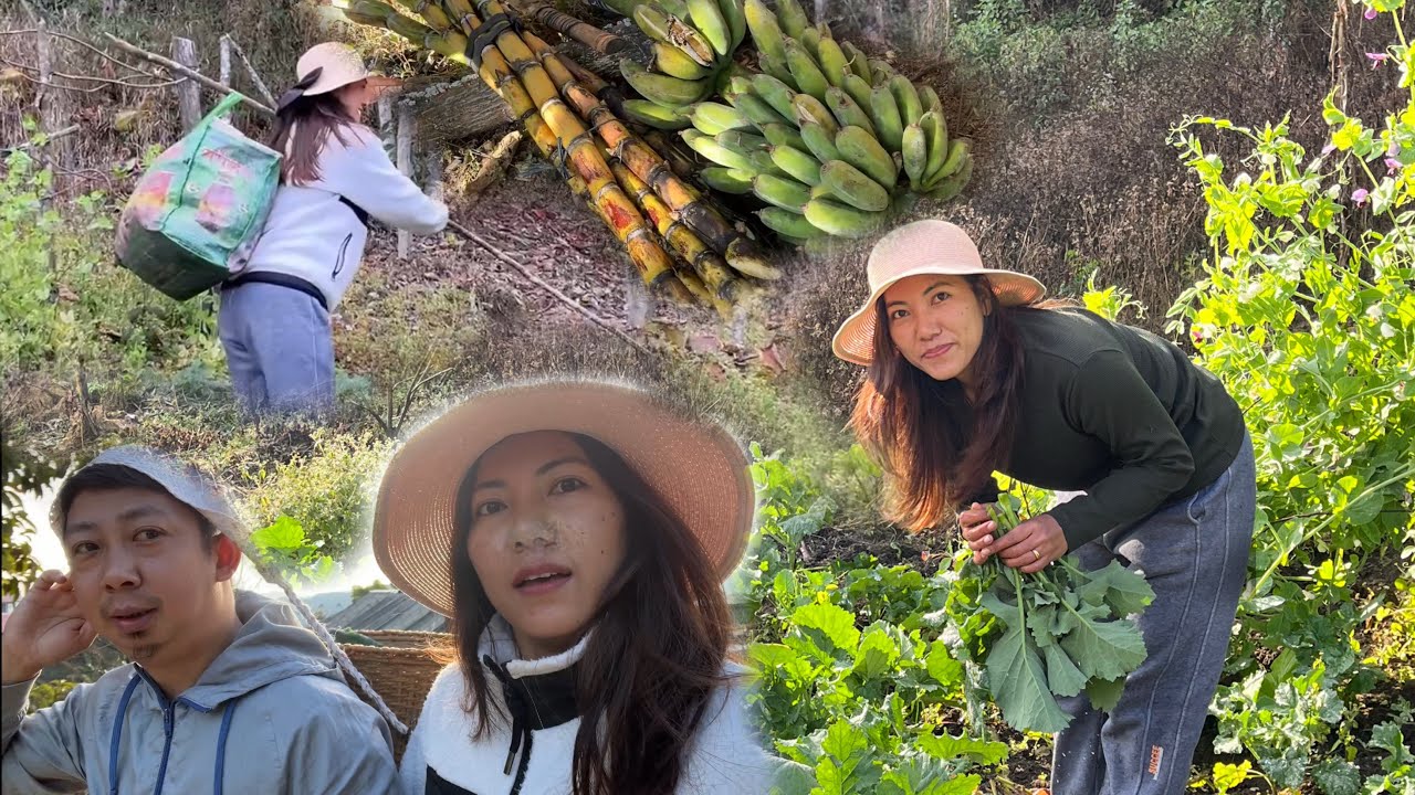 Visiting My Aunt’s Farm // Harvesting Vegetables 