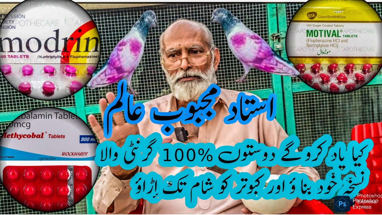 Ustad mehboob Alam ny hit parwazi nuksa bana k dikha dia dubble hi parwaz wapsi ki granti