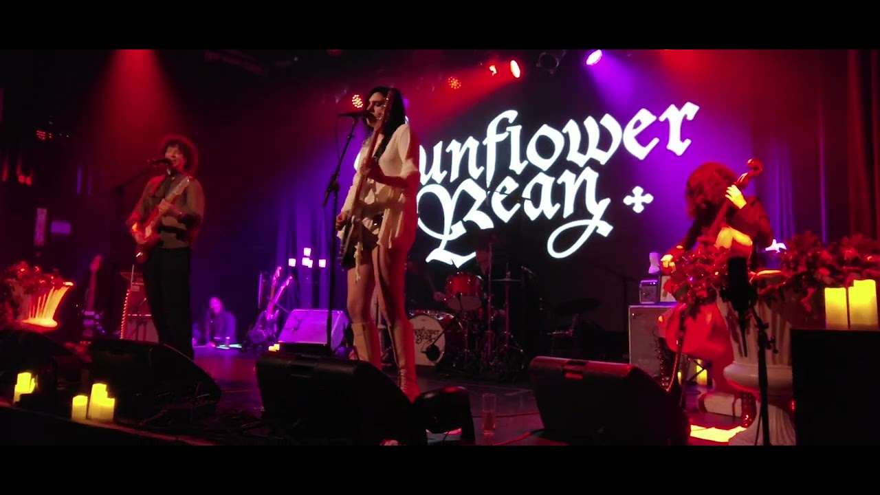 Sunflower Bean - I Knew Love (Live Brooklyn 5/22/25)