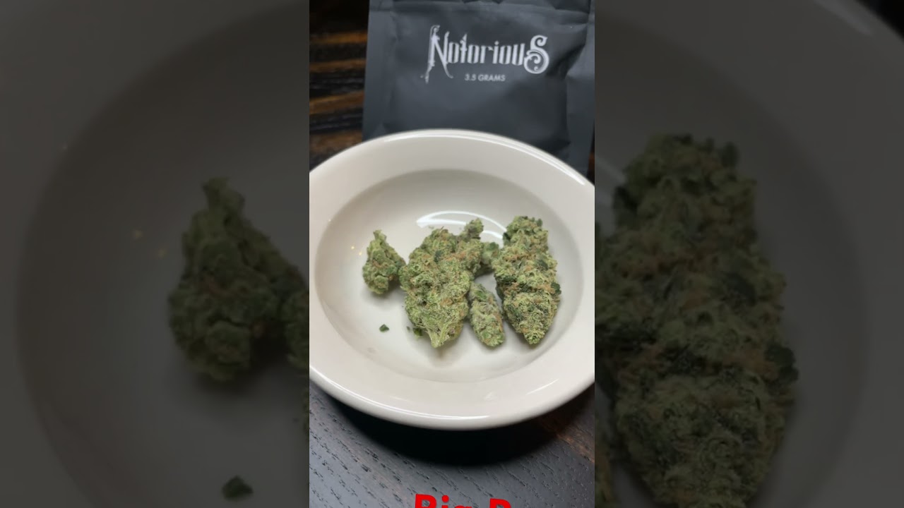 Cannabis review big Poppa by notorious St. Louis Missouri