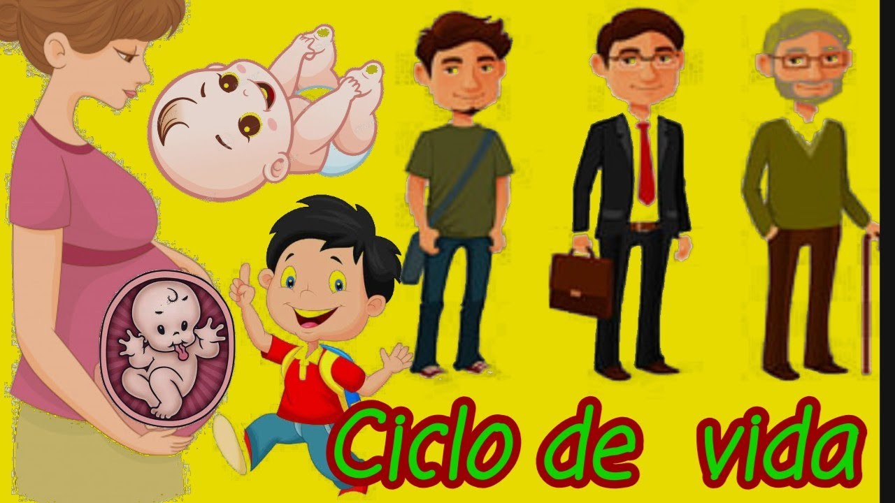 DESARROLLO DEL SER HUMANO#ciclo de vida#