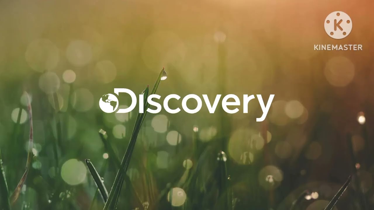 tanda discovery 2016 comerciales