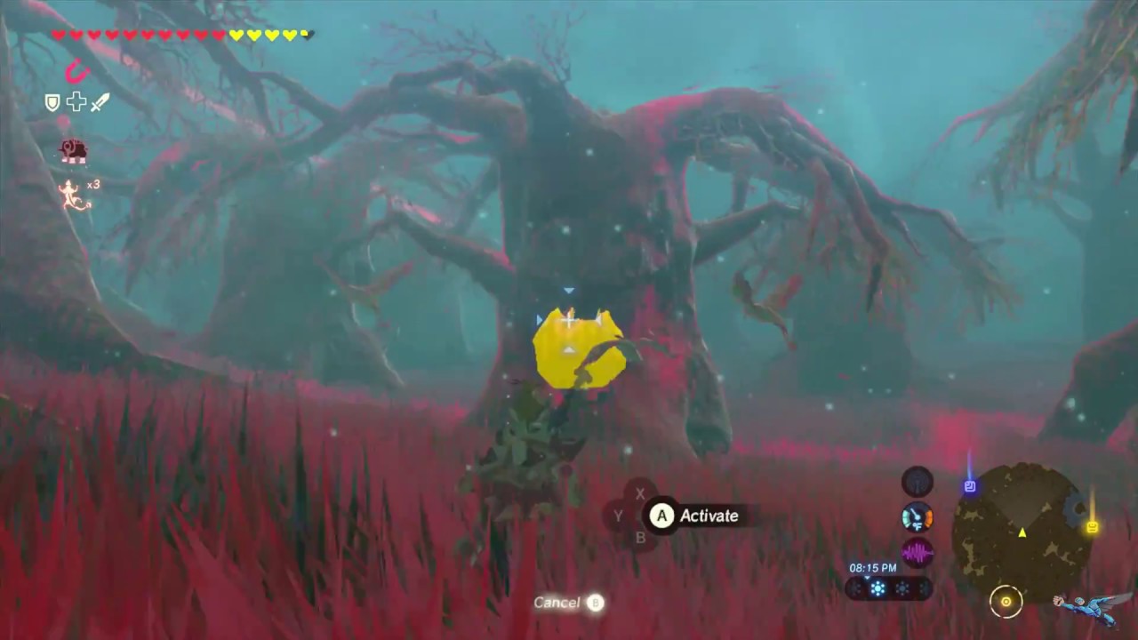 Zelda Breath Of The Wild Trial Of Second Sight Guide