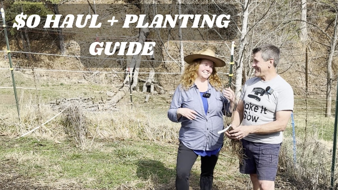 How to Get FREE Plants (Legally!)