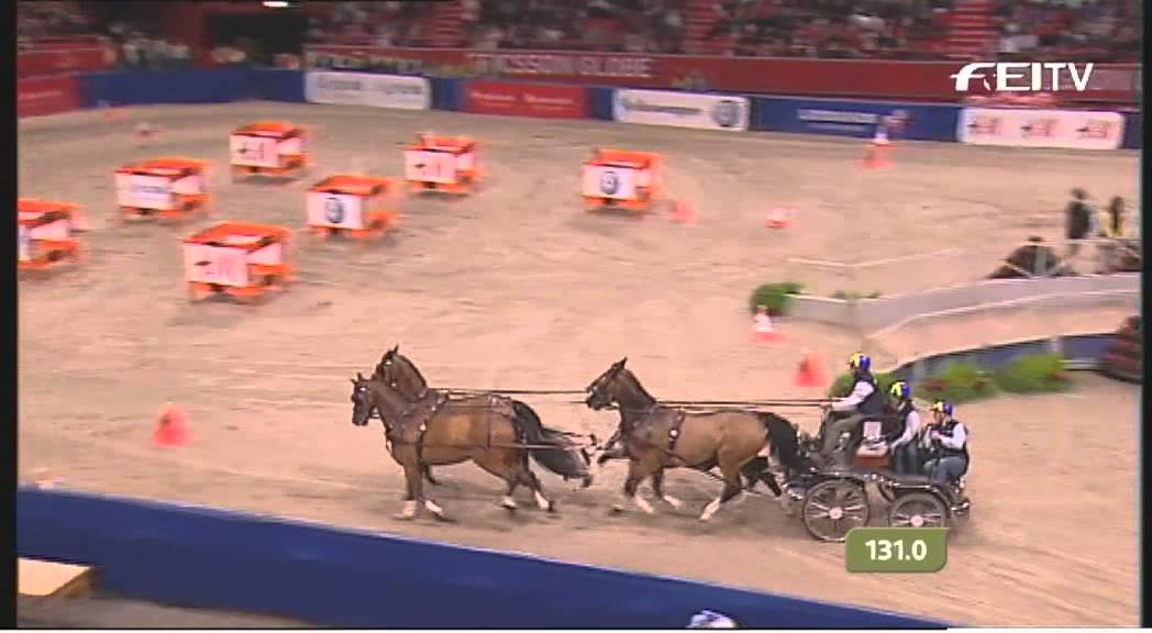 FEI World Cup Driving 2012/13 Stockholm - Tomas Eriksson 2nd Place
