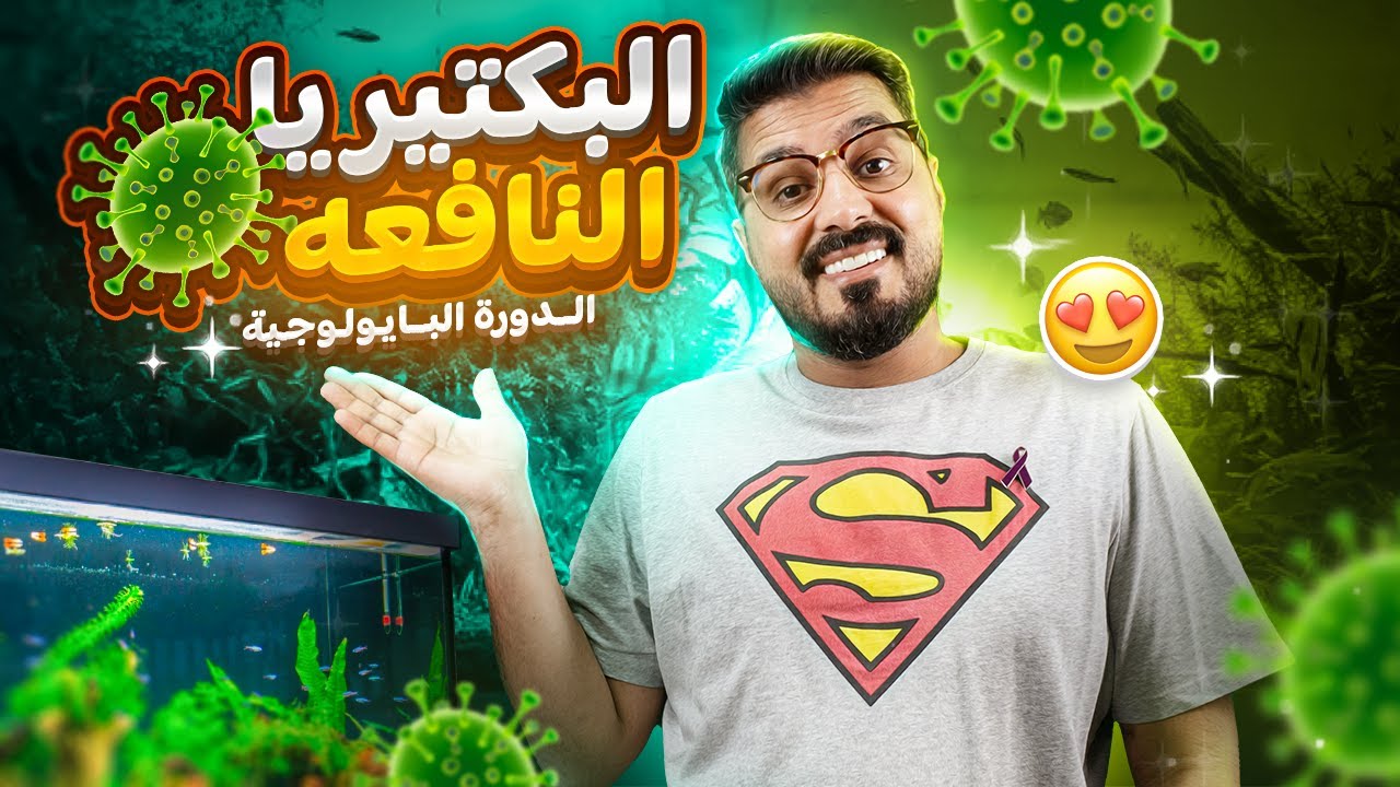 الدورة البايولوجية في حوض السمك وطريقة تحضيرها للحفاظ على صحة الاسماك.. ( مهم جدا!!!) الجزء ٣