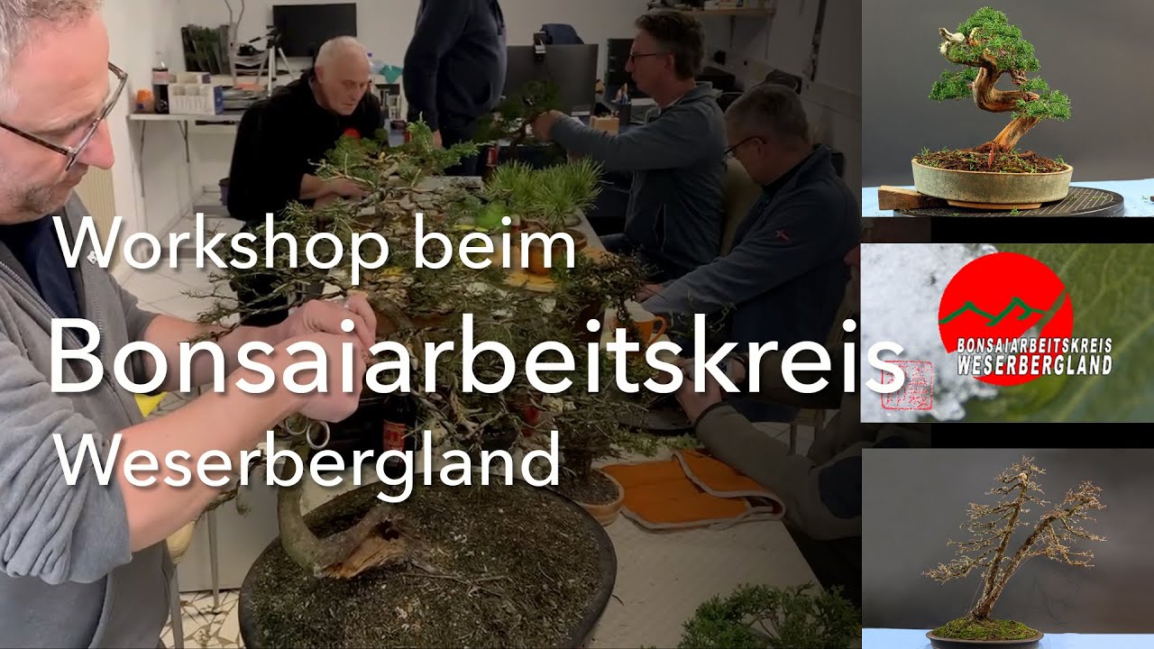 Challenging trees at a Bonsai - Workshop