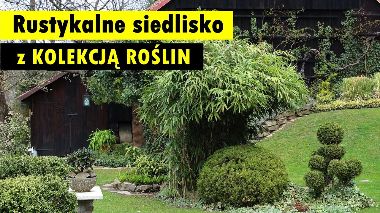 Górskie i rustykalne siedlisko z kolekcją roślin