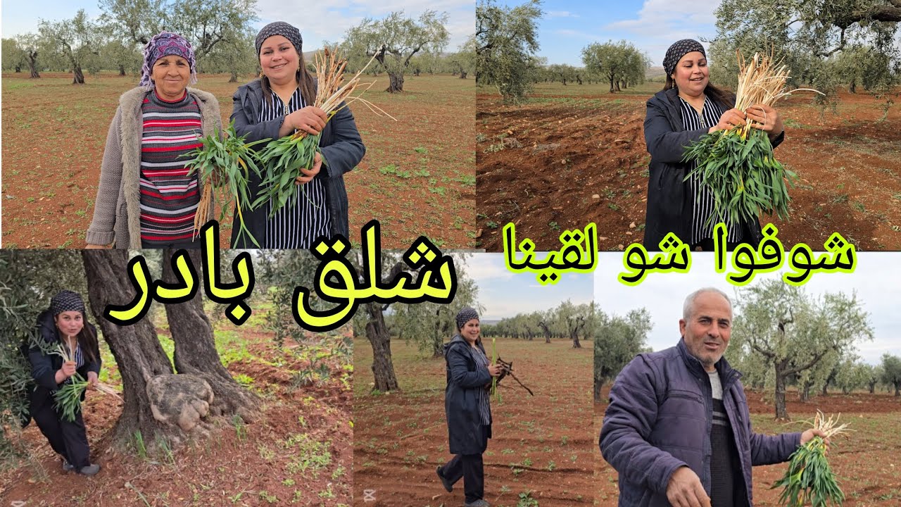 أول مرة بعد سنين طويلة، لمانا #شلق بادر شو كان#اكسبلور  شعورنا#قناه_ام_رودي 