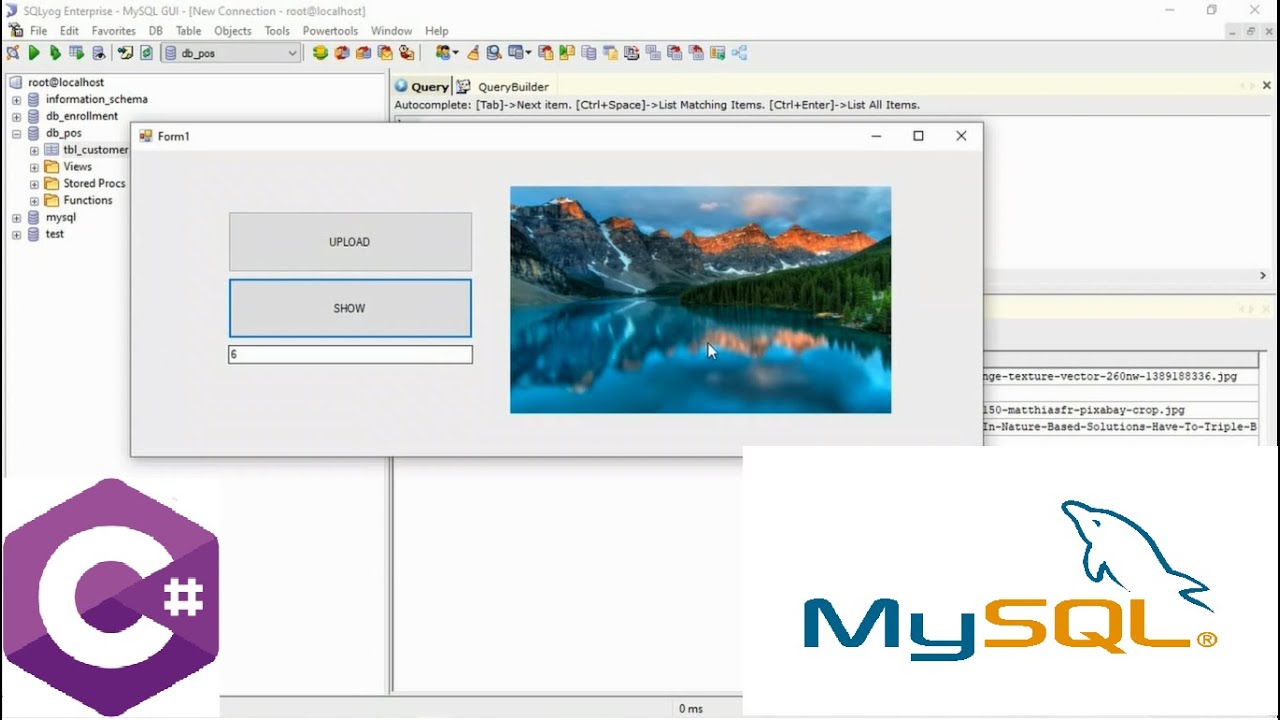 Saving Images Path in Database Using MySQL & C#