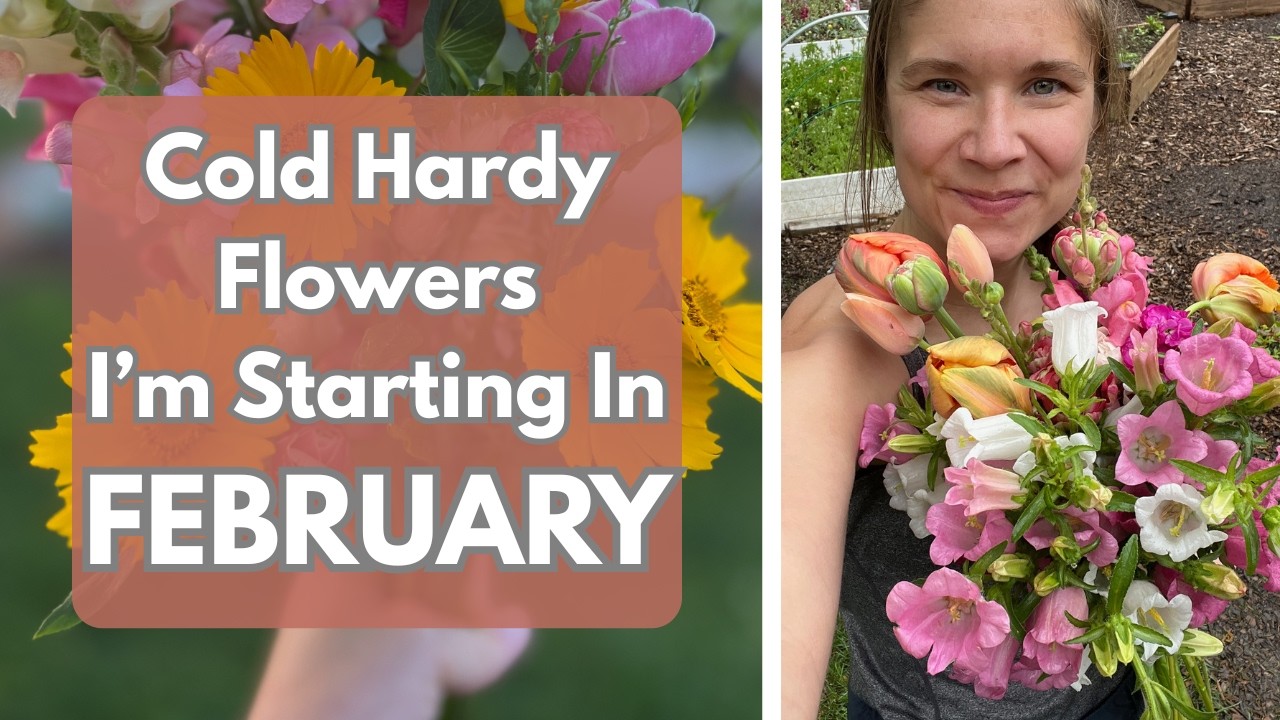 Cool Flowers - What I'm Seed Starting This February