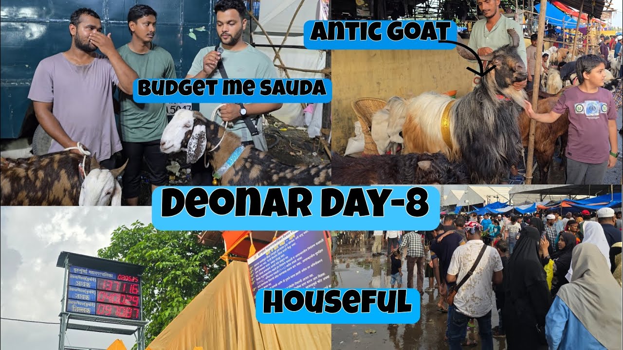 Deonar Bakra mandi 2025|Naseeb ka sauda!bakre hue saste! #bakraeid2025 #deonarbakramandi #goat