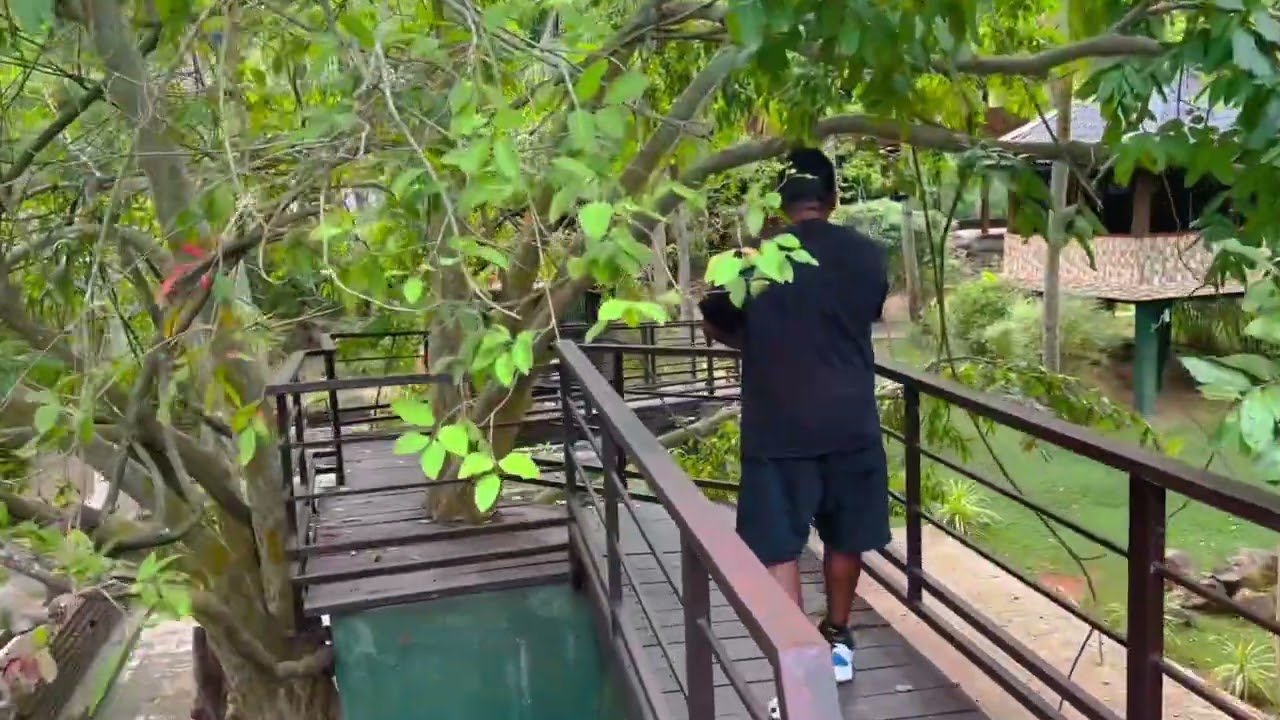 Hotel Alakamandawa | Anuradhapura