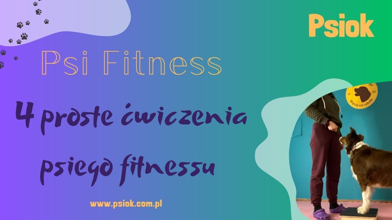 4 proste ćwiczenia na wzmocnienie tyłu psa | Psi Fitness w domu