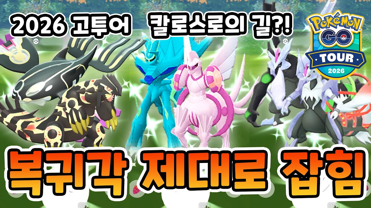 2026 칼로스로의 길이 메인이다! 복귀각 제대로 잡힌 고투어 이벤트 [포켓몬고]