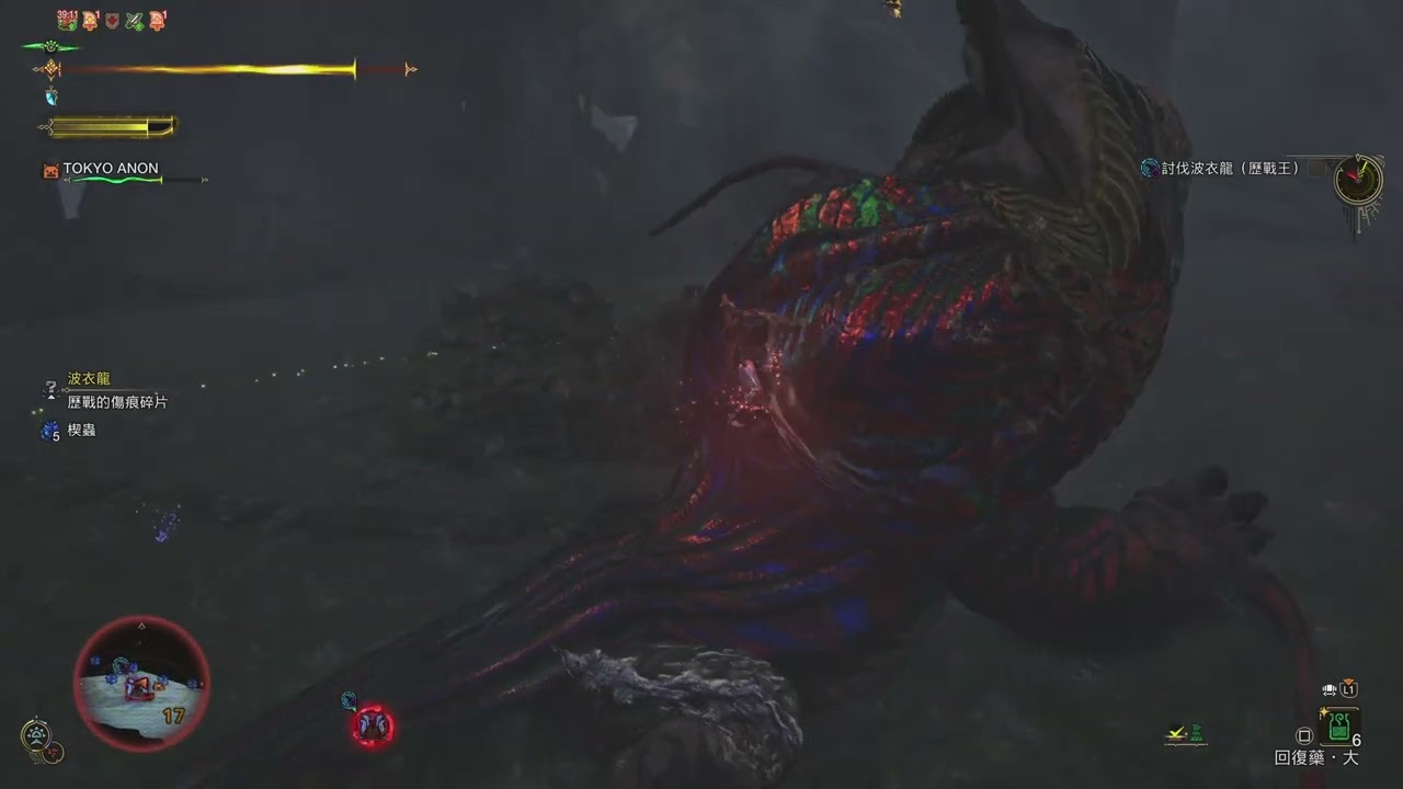 魔物獵人荒野  歷戰王波衣龍 自由挑戰  太刀