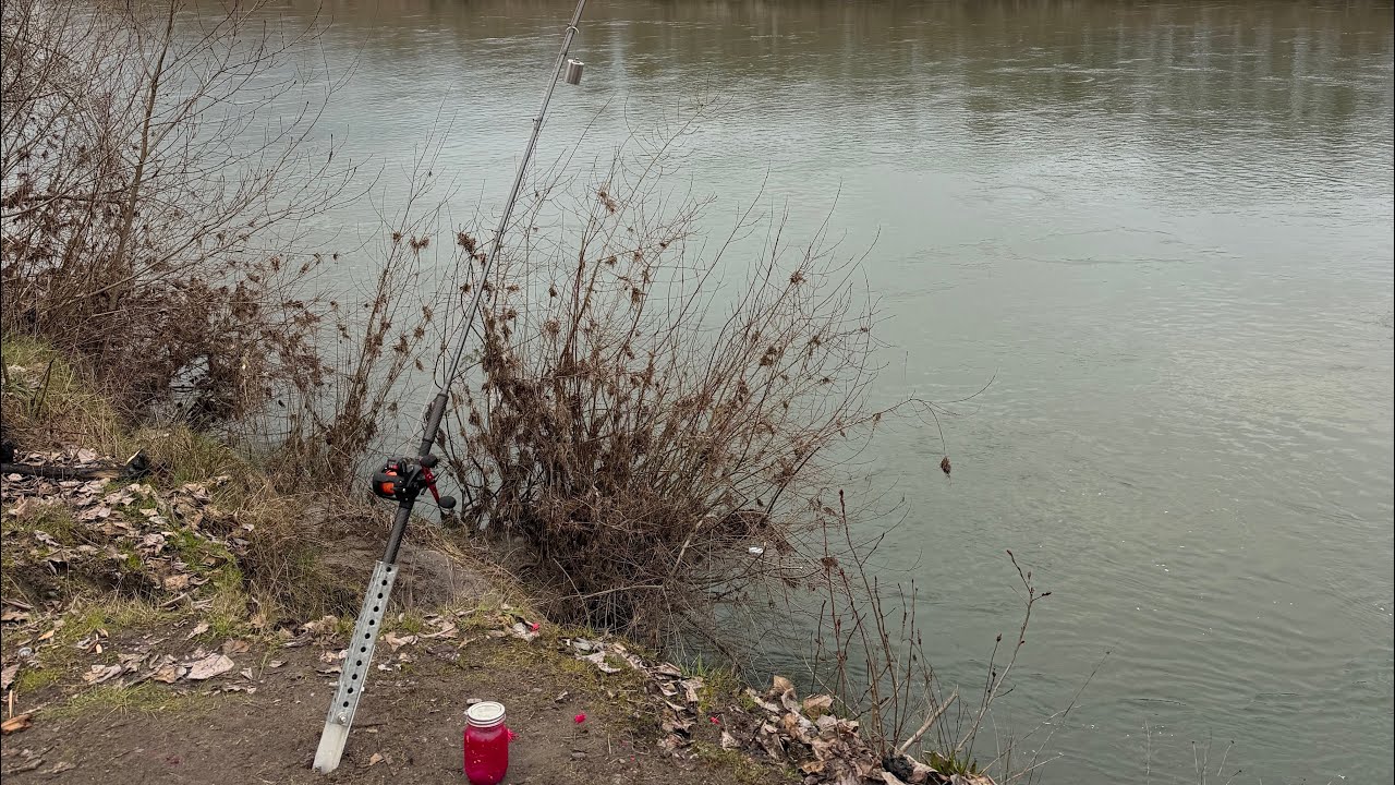 Plunking on the Big river for steelhead