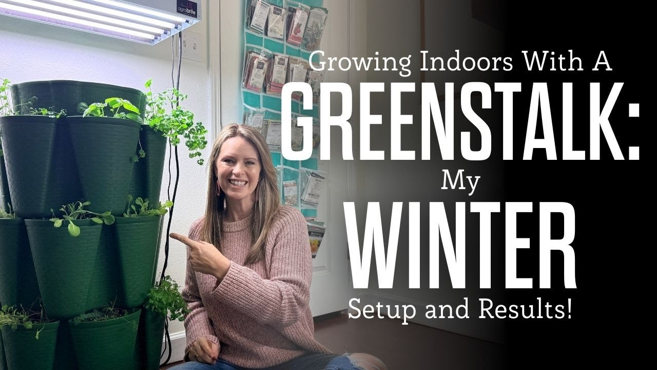 Выращивание растений в помещении с помощью GreenStalk: моя зимняя установка и результаты.
