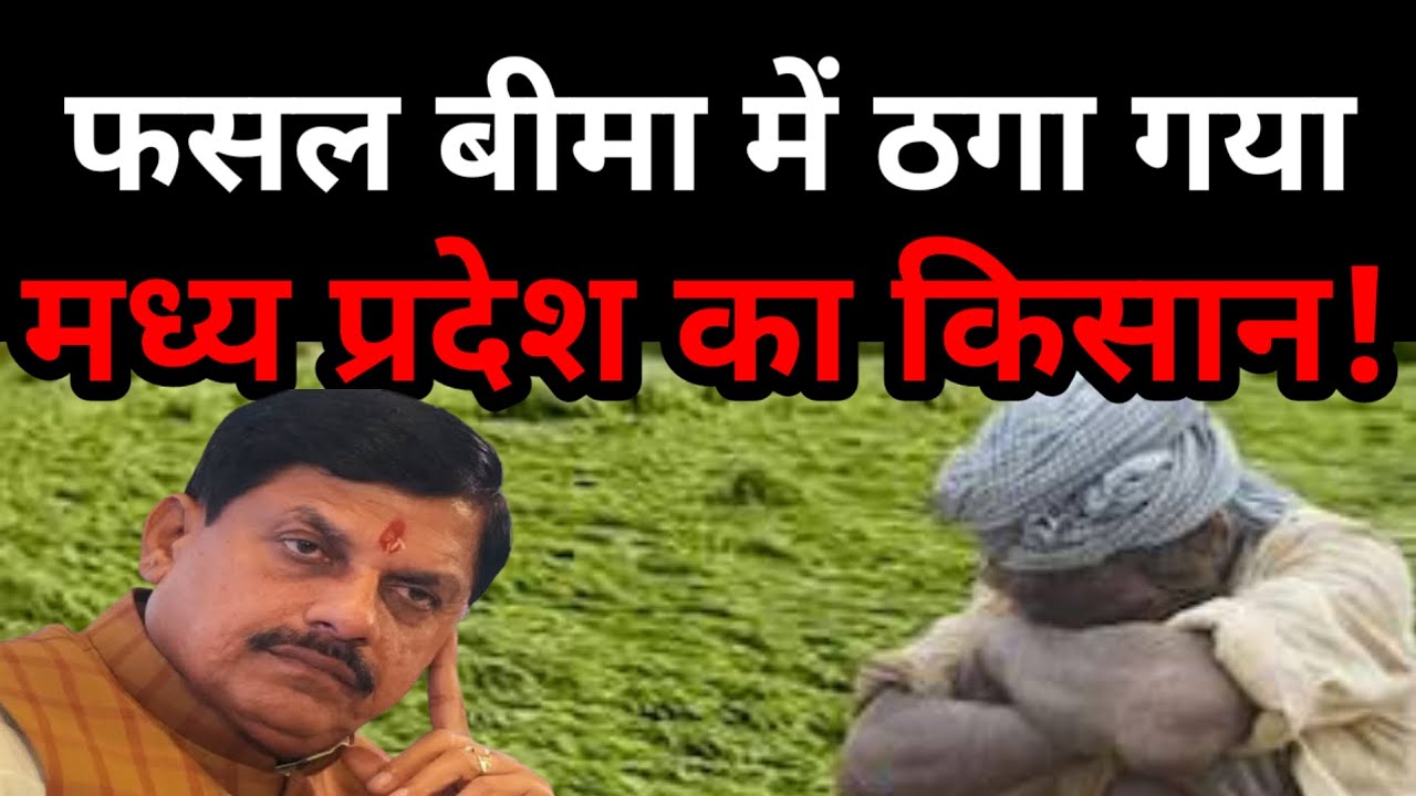 फसल बीमा में ठगा गया मध्य प्रदेश का किसान? 87% बीमा राशि 10 जिलों को दी, बाकी की राशि बचे हुए को!