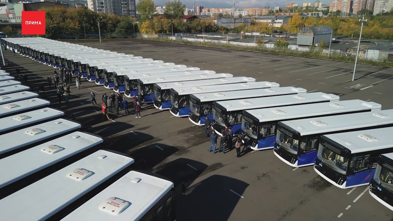 82 новых автобуса получили транспортные предприятия края