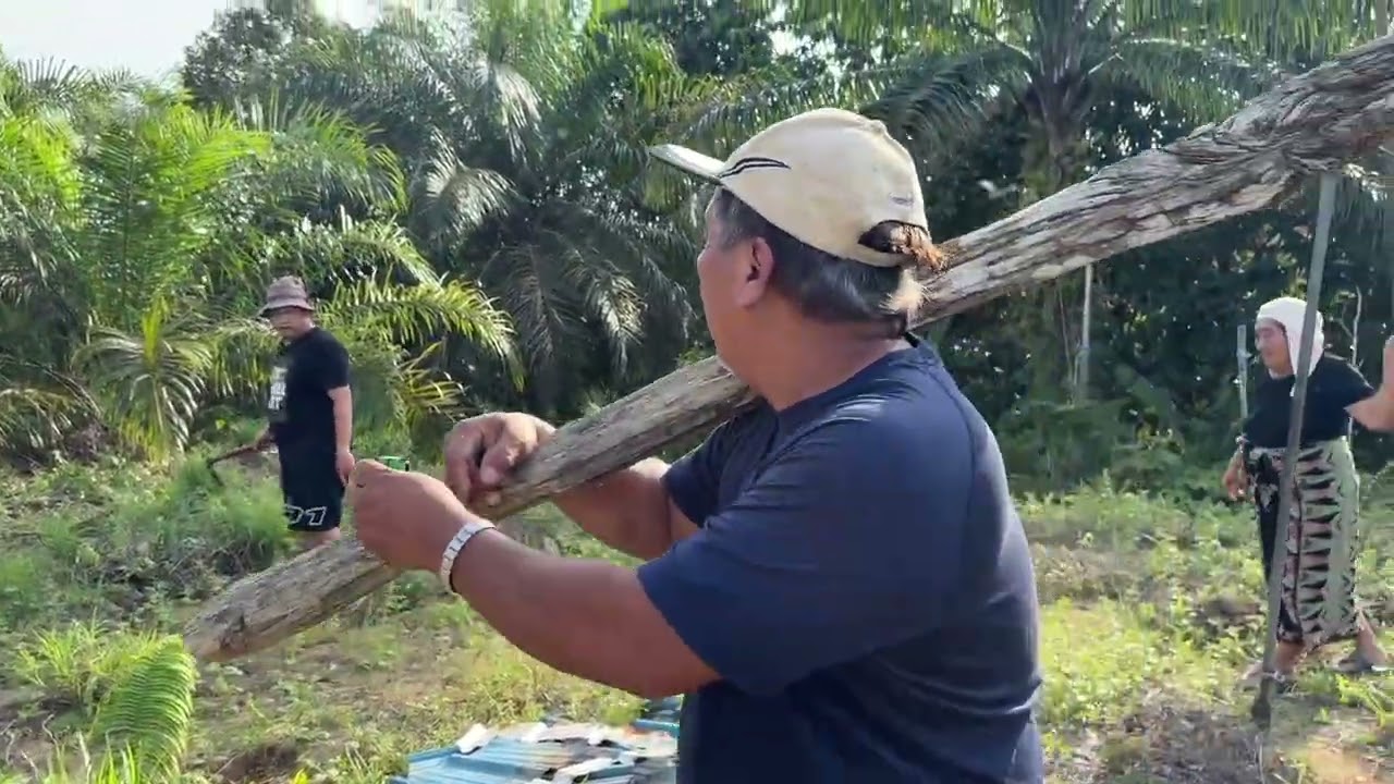 Menanam buah-buahan di waktu petang di Kop Ibus Roban