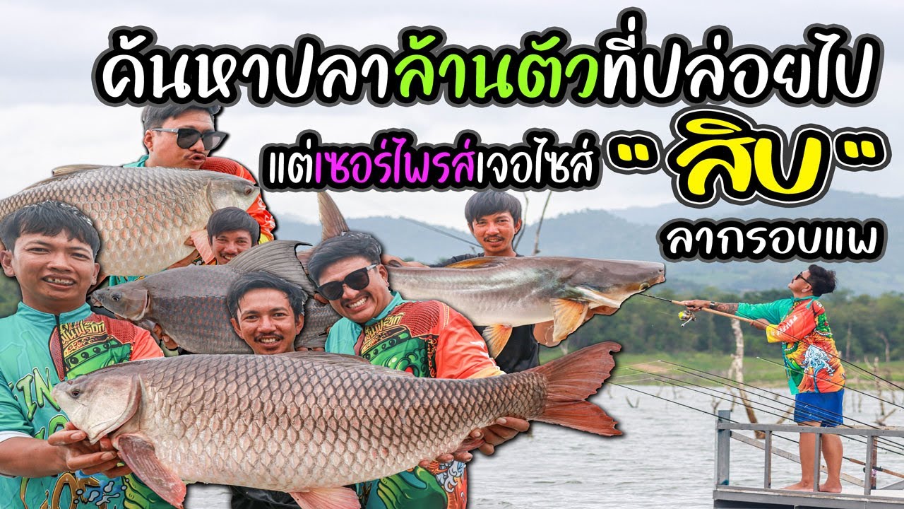 ค้นหาปลาล้านตัวที่ปล่อยไป แต่เซอร์ไพรส์เจอไซส์ 