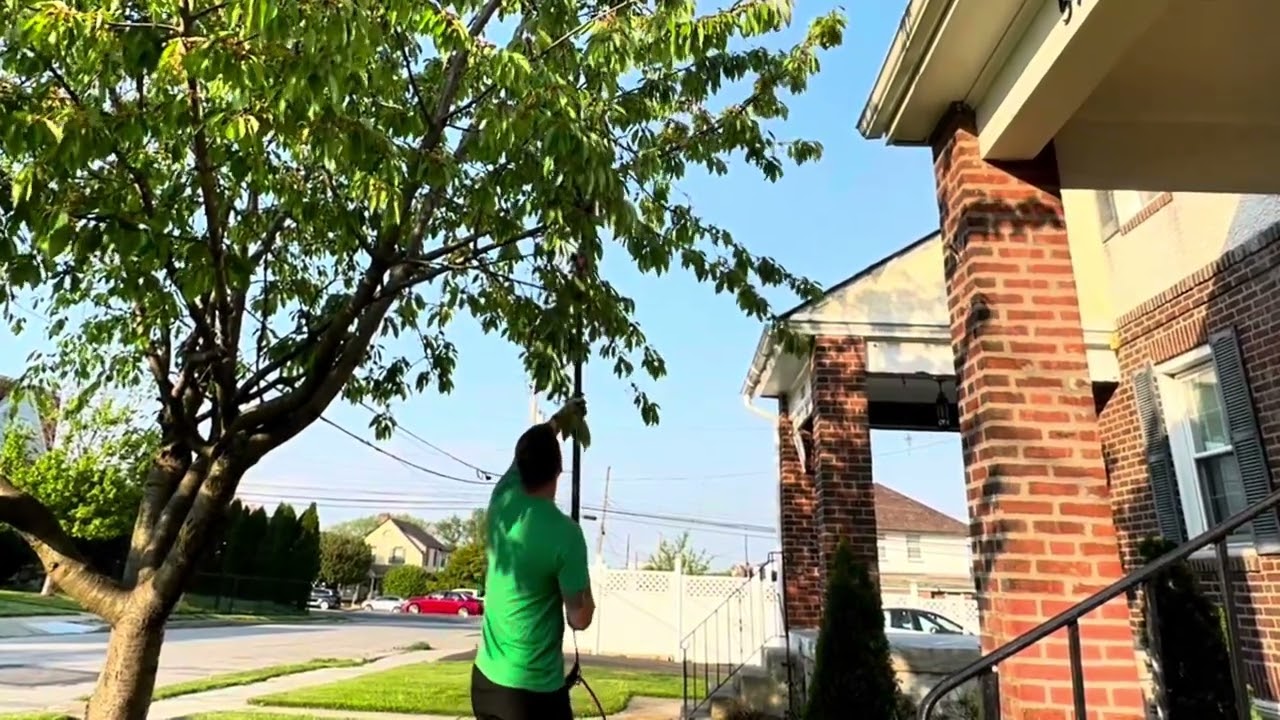 The Worx Pole Saw Makes Tree Trimming Easy!