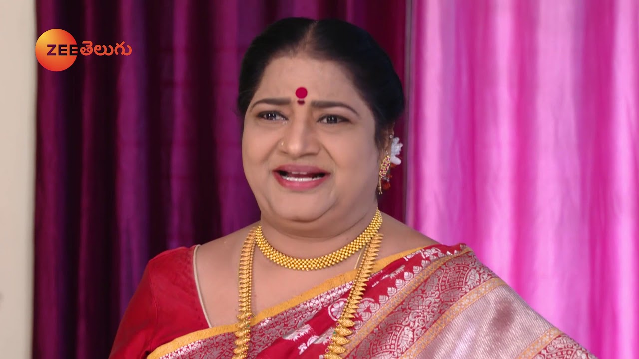 Raktha Sambandham - రక్త సంబంధం - Telugu Serial - EP - 582 - Meghana Lokesh - Zee Telugu