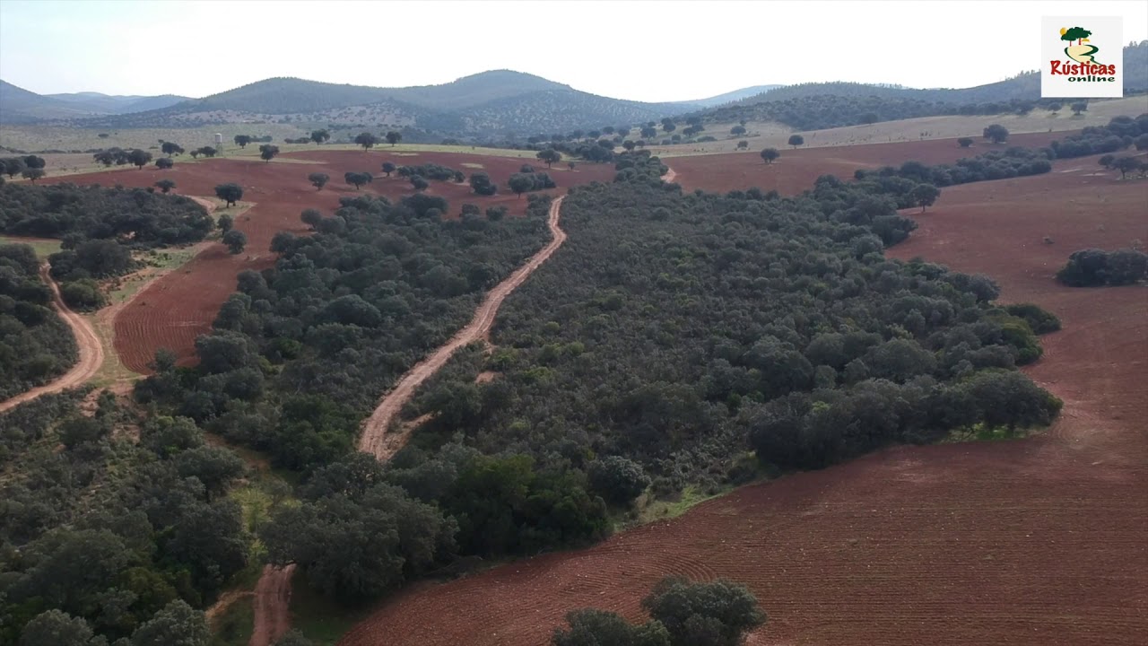 Finca de labor y pastos para ganado de 465 ha en Badajoz. Finca mixta.