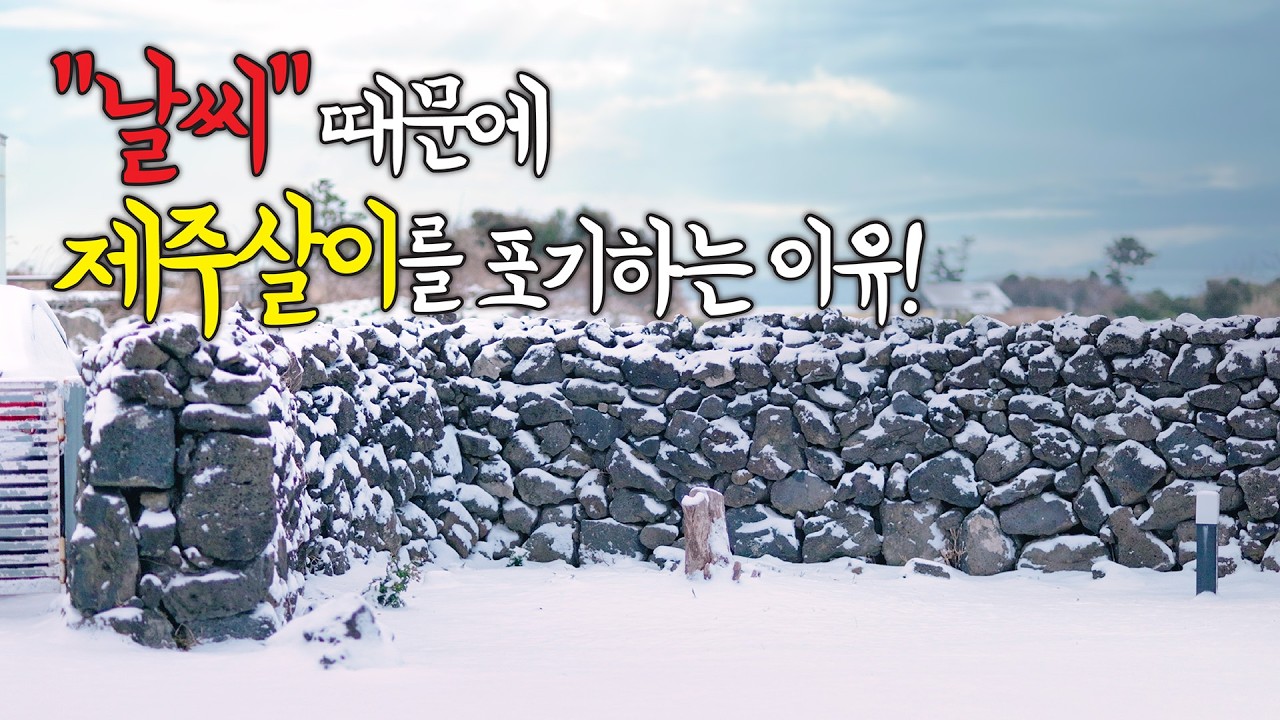 제주살이 7년차가 되니 텃세보다 날씨가 더 힘들단걸 알았네요