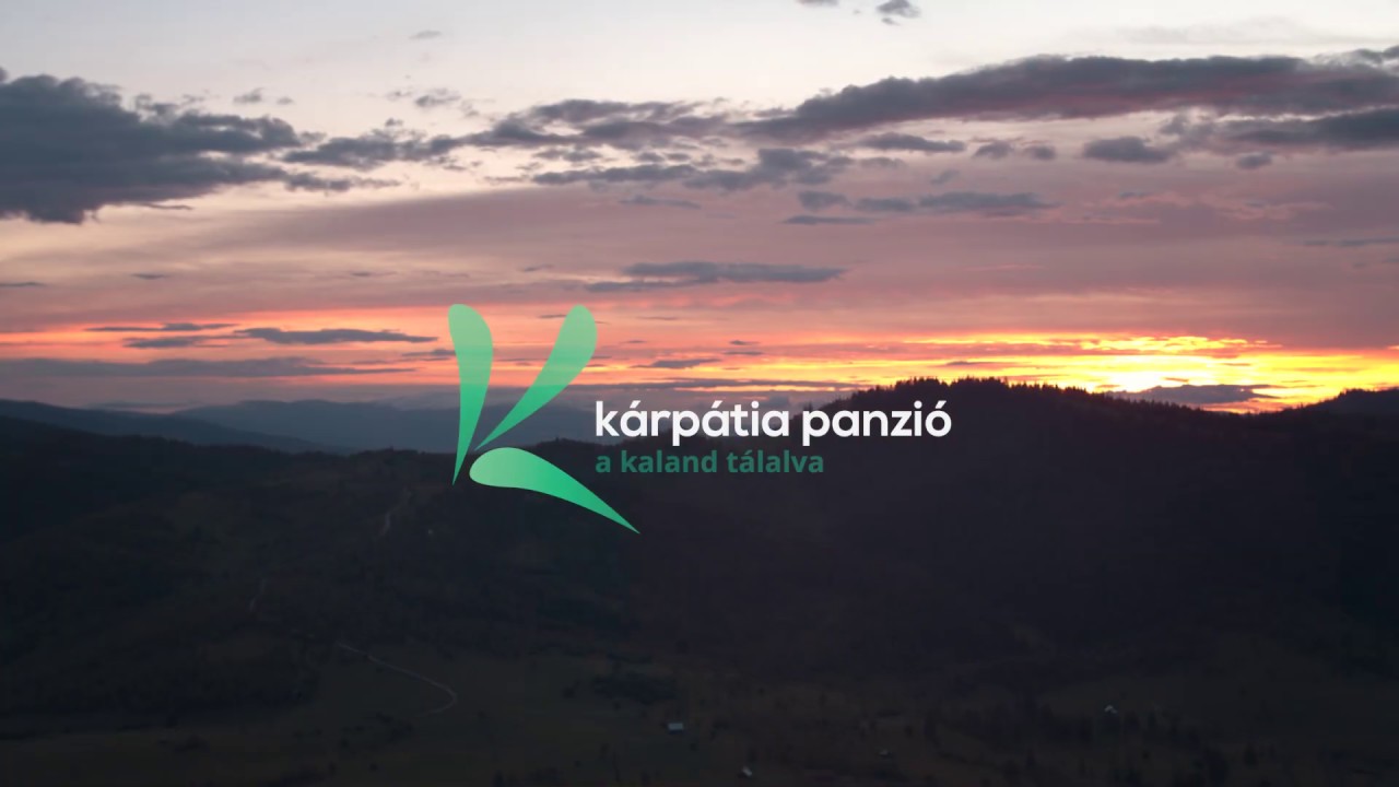 K&aacute;rp&aacute;tia Panzi&oacute;