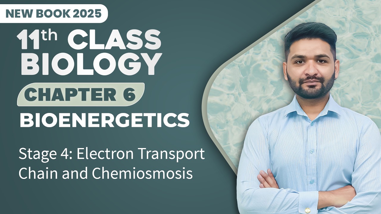 11th Class Biology Chapter 6 | Stage 4: Electron Transport Chain and Chemiosmosis | New Book 2025