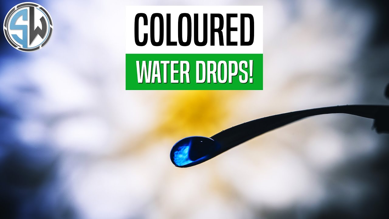Coloured Water Drops on Flowers | Macro Photography