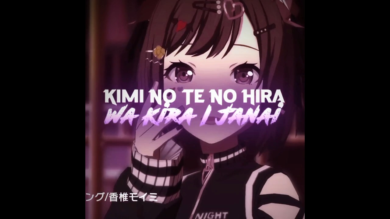 Cat Loving Lyric (AMV)                           